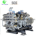 Stationary CNG Gas Compressor for CNG Mother Refueling Station